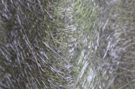 Jubilee fibreglass roof work